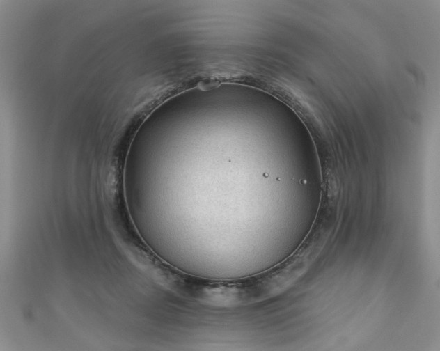 X0000110940362200906261305