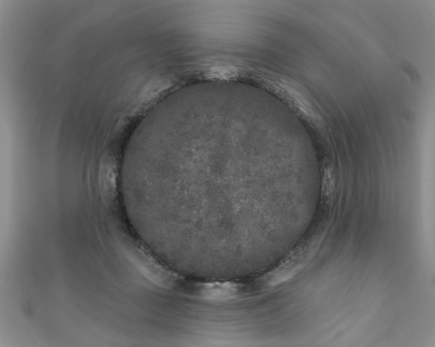 X0000110940363200906261305