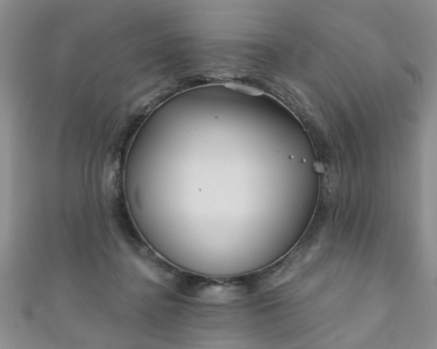 X0000110940364200906261305