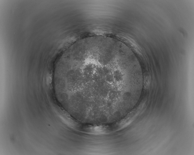 X0000110940365200906261305