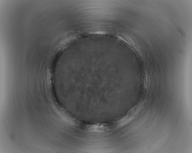 X0000110940366200906261305