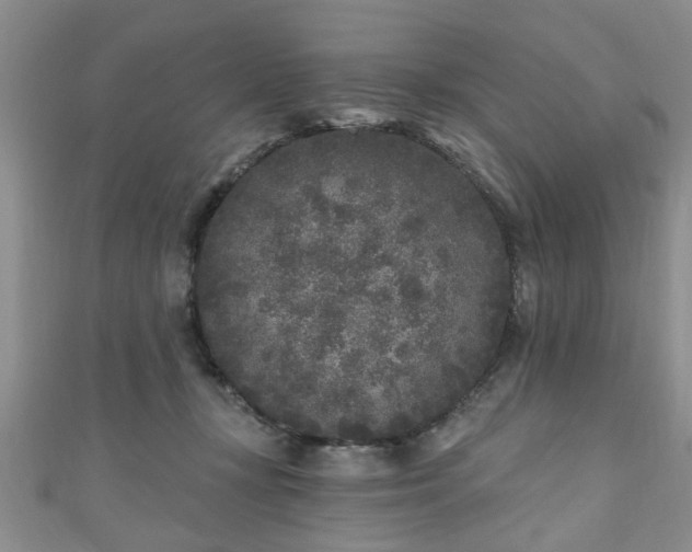 X0000110940367200906261305