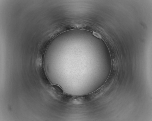 X0000110940368200906261305