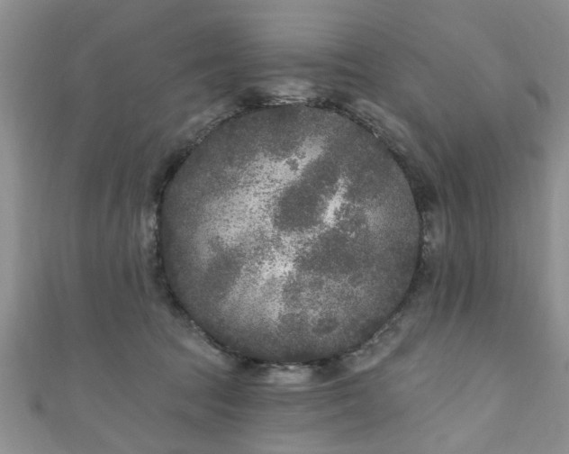 X0000110940369200906261305