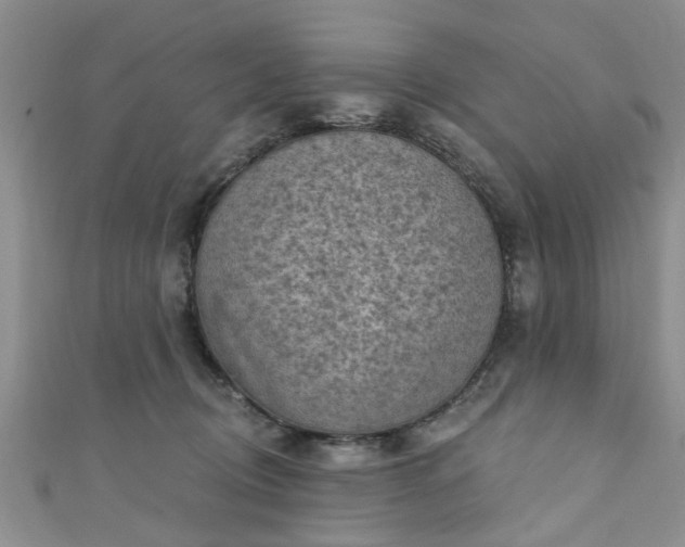 X0000110940370200906261305