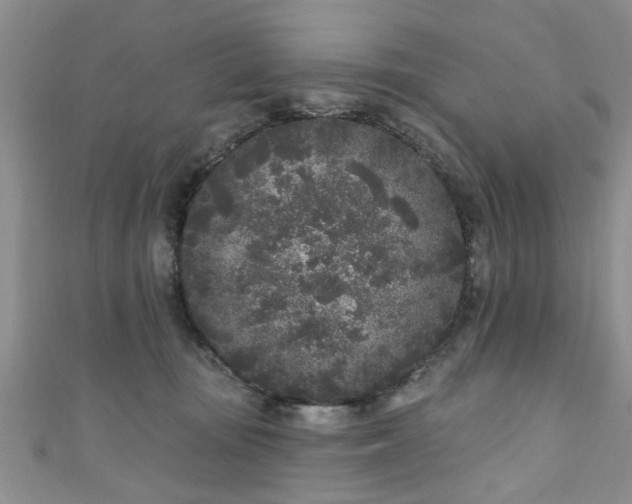 X0000110940371200906261305