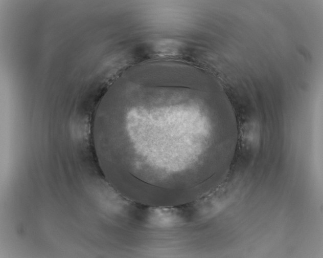 X0000110940372200906261305