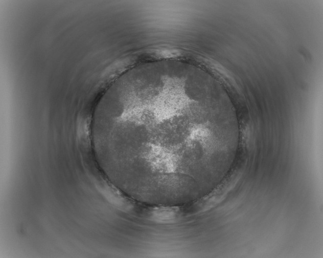 X0000110940373200906261305