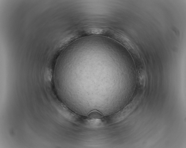 X0000110940374200906261305