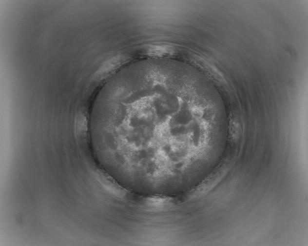 X0000110940375200906261305