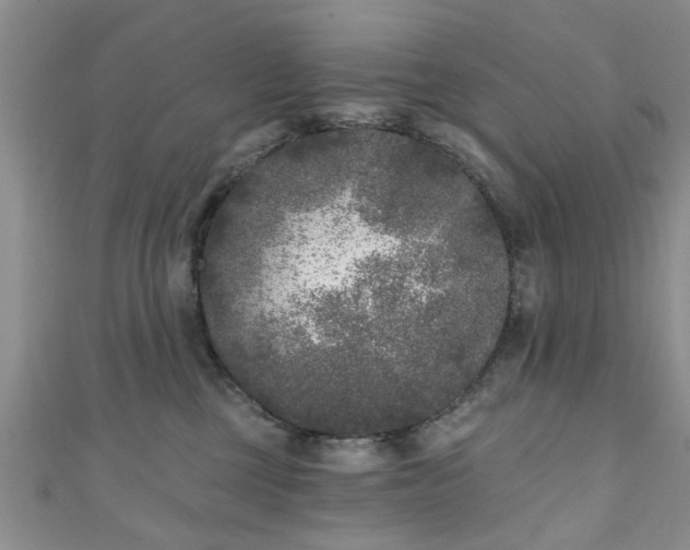 X0000110940377200906261305