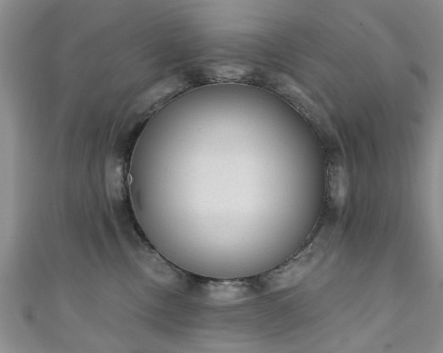 X0000110940378200906261305