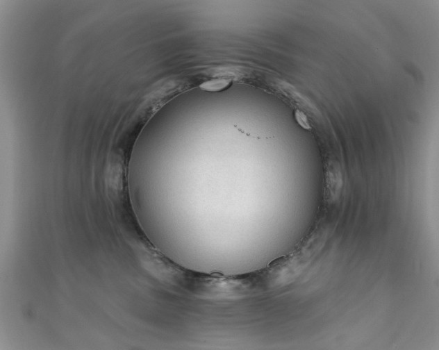 X0000110940379200906261305