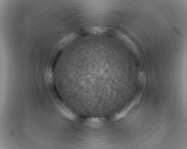 X0000110940381200906261305