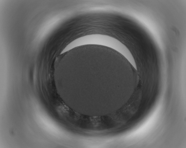 X0000110940382200906261305