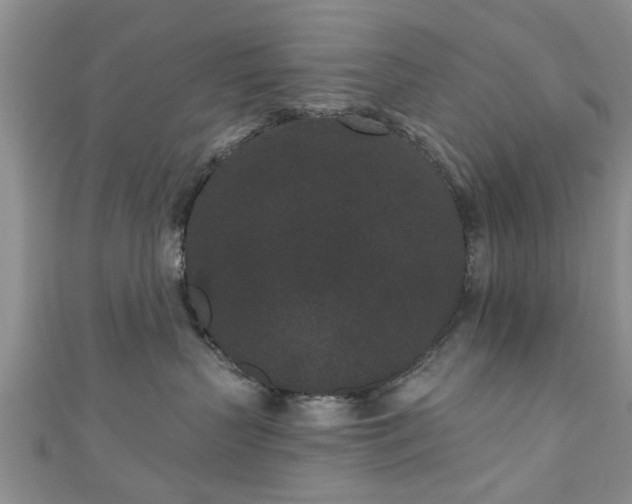 X0000110940383200906261305