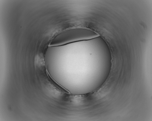 X0000110940384200906261305