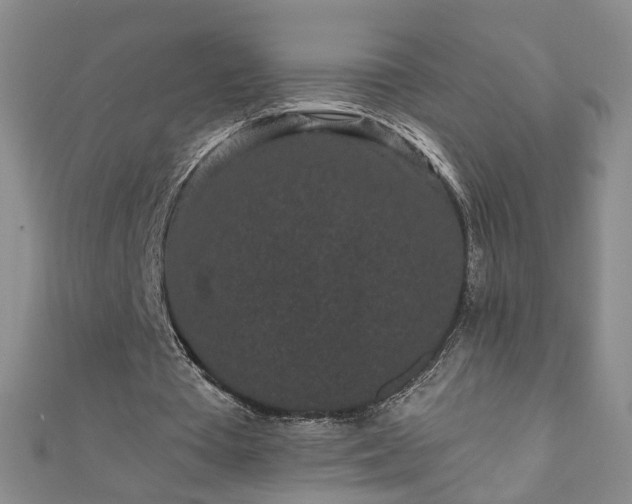 X0000110940385200906261305