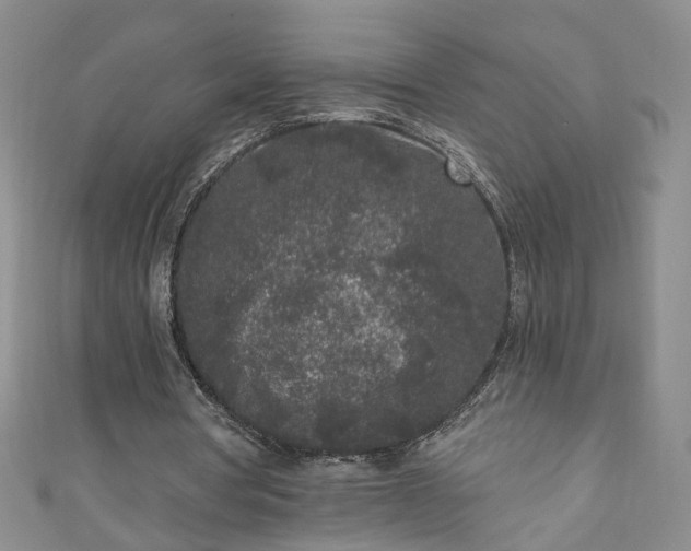 X0000110940386200906261305