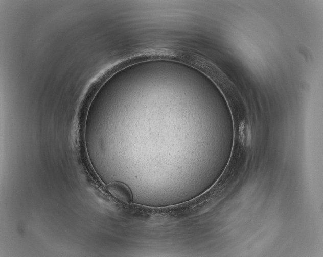 X0000110940388200906261305