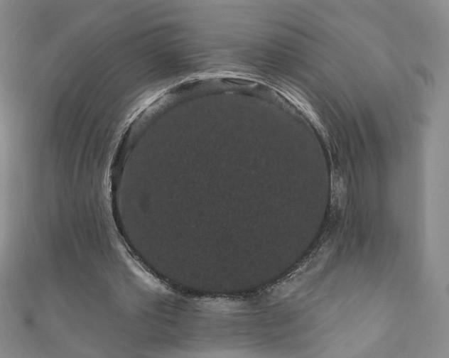 X0000110940389200906261305