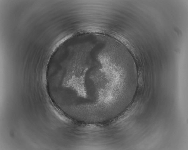 X0000110940390200906261305