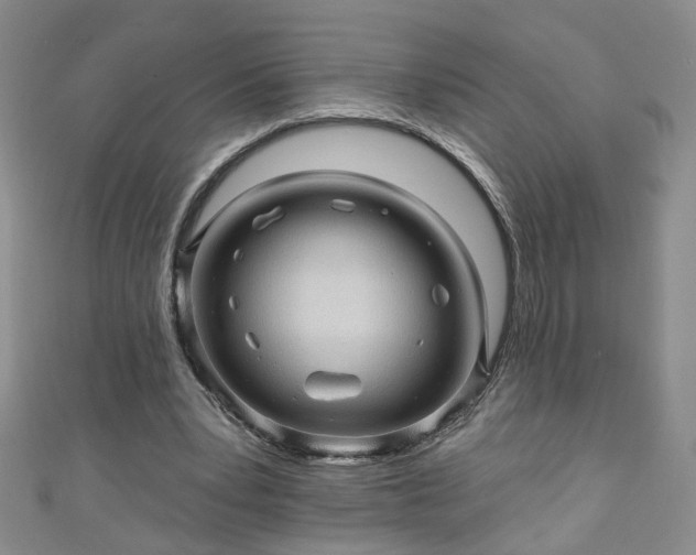 X0000110940391200906261305