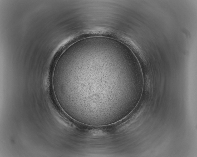 X0000110940392200906261305