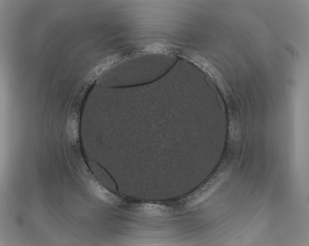 X0000110940393200906261305