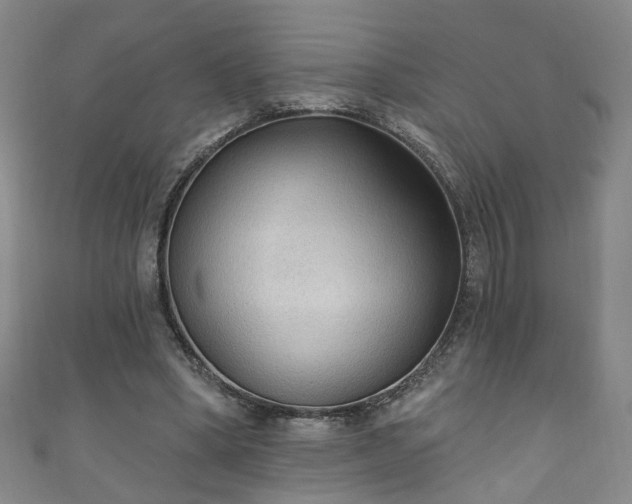 X0000110940394200906261305