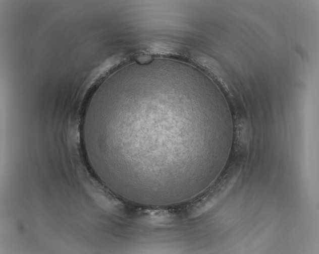 X0000110940395200906261305