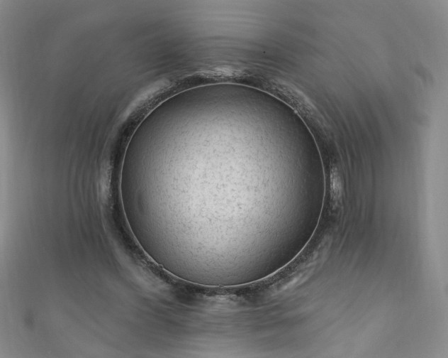 X0000110940396200906261305