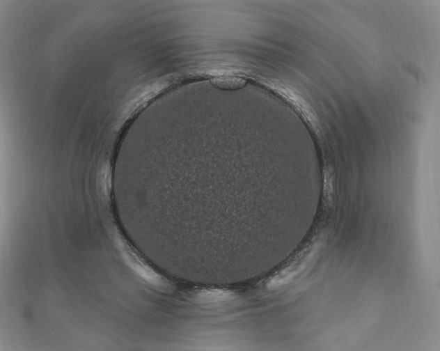 X0000110940397200906261305