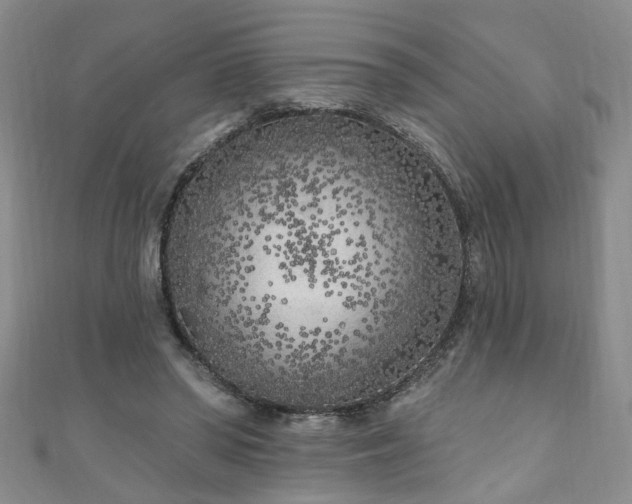 X0000110940398200906261305