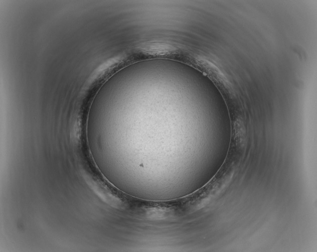 X0000110940400200906261305