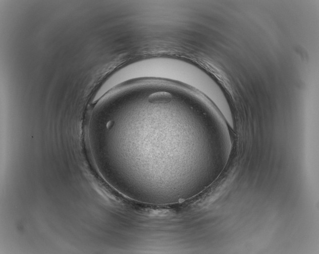 X0000110940401200906261305