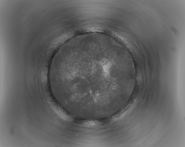 X0000110940402200906261305