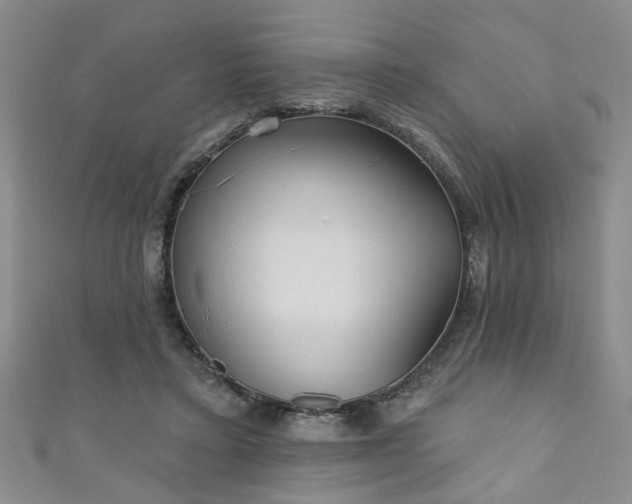 X0000110940403200906261305