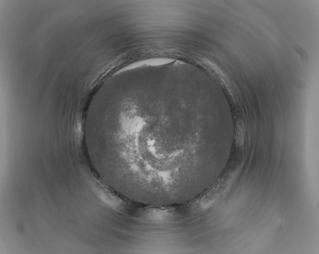 X0000110940405200906261305