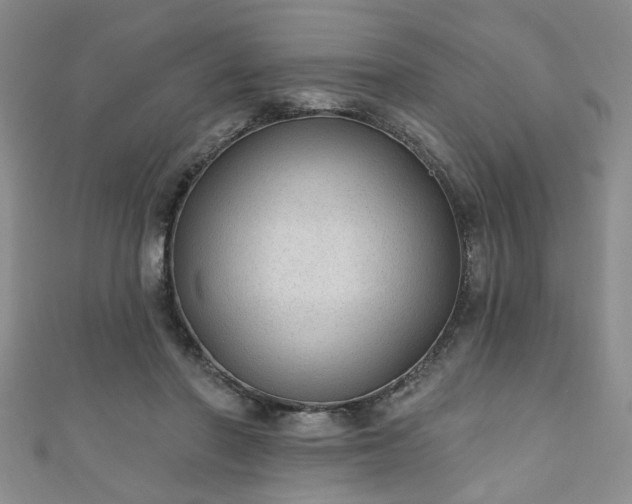 X0000110940406200906261305