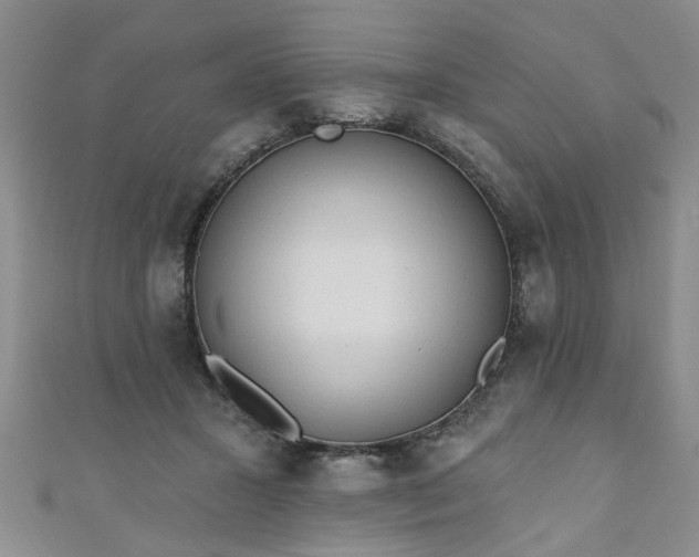 X0000110940407200906261305