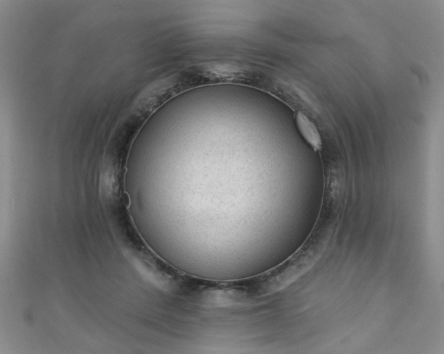 X0000110940408200906261305