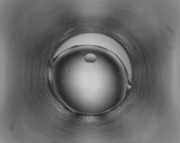 X0000110940409200906261305