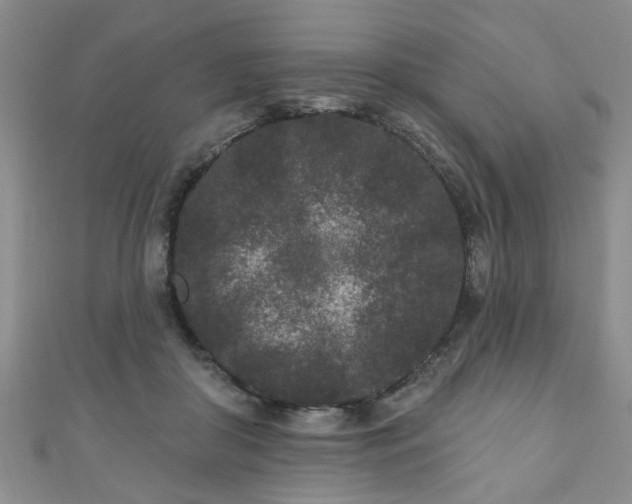 X0000110940410200906261305