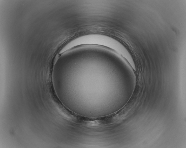 X0000110940411200906261304