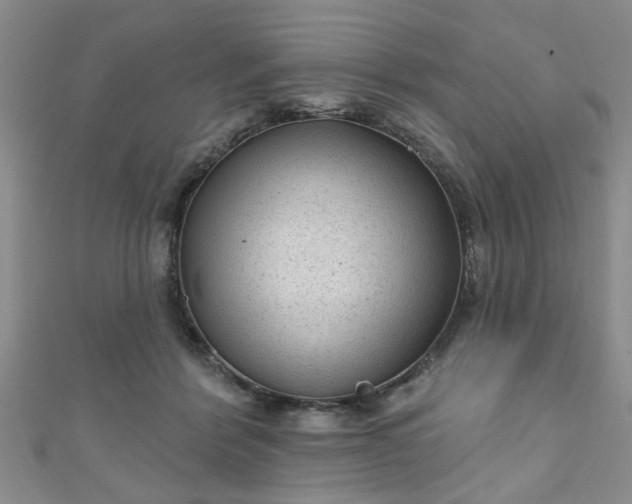 X0000110940412200906261304