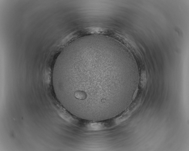 X0000110940413200906261304