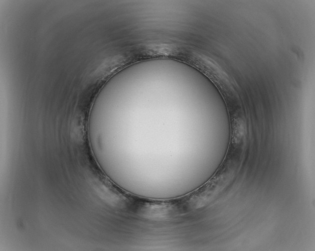 X0000110940414200906261304