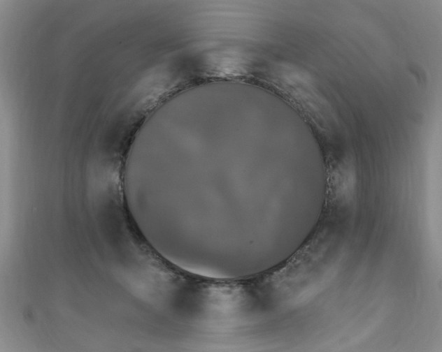 X0000110940415200906261304