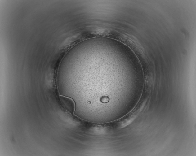 X0000110940416200906261304